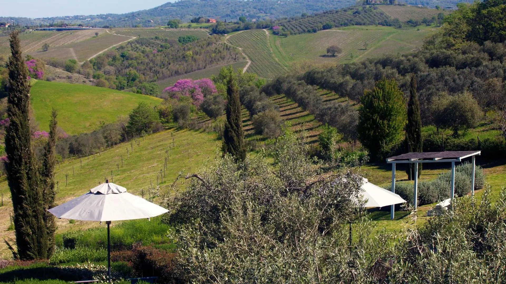 Casale Sterpeti Bed & Breakfast Magliano in Toscana