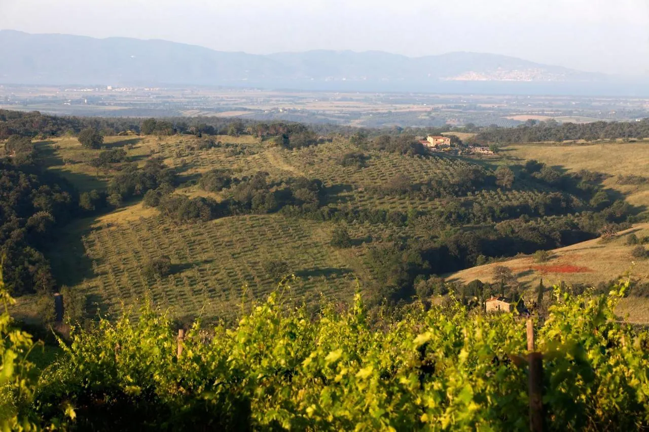 Alojamento de Acomodação e Pequeno-almoço Casale Sterpeti Acomodação com café da manhã Magliano in Toscana